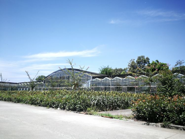 Covering materials and technical characteristics of pc sunshine board greenhouse