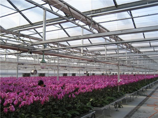 Visite Greenhouse