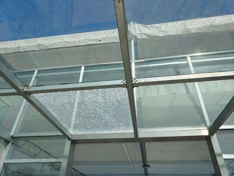 Glass Greenhouse Glass Greenhouse