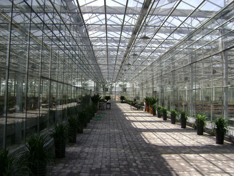 winter warm greenhouse