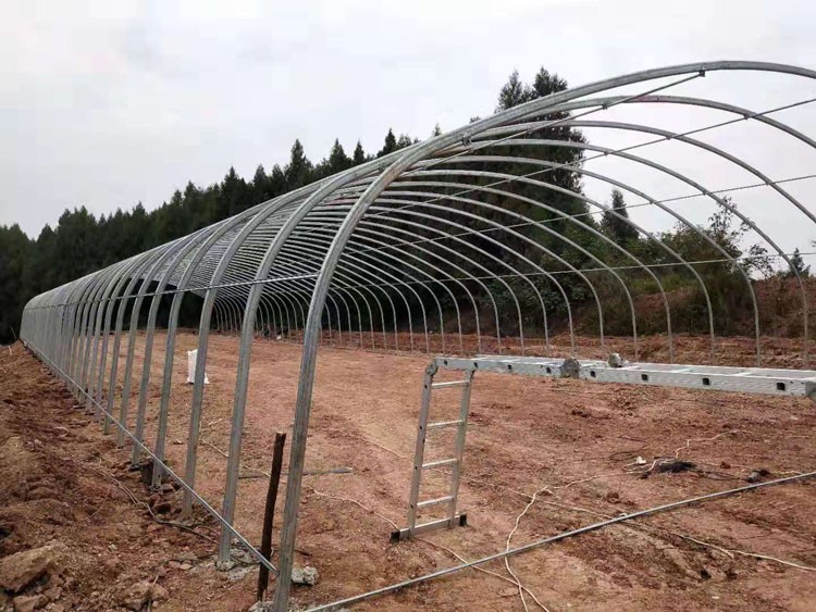 greenhouse construction greenhouse construction