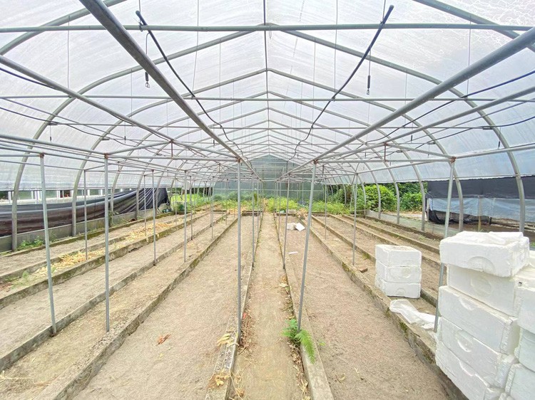 Plastic Film Greenhouse Plastic Film Greenhouse