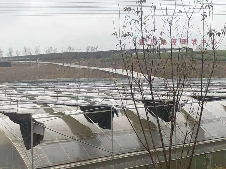 What time of year is the best time to build a greenhouse