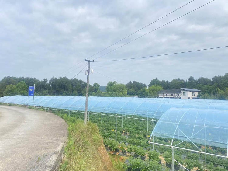 How to build a greenhouse