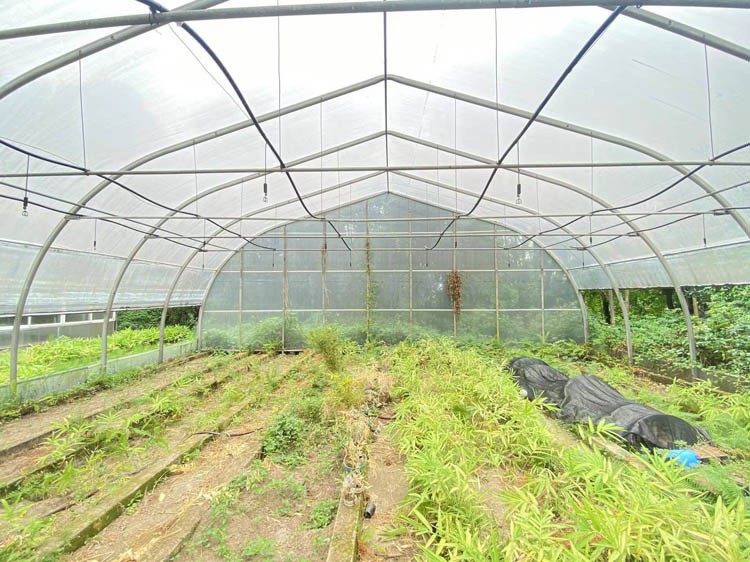 The difference between heating solar greenhouse project and energy saving solar greenhouse project