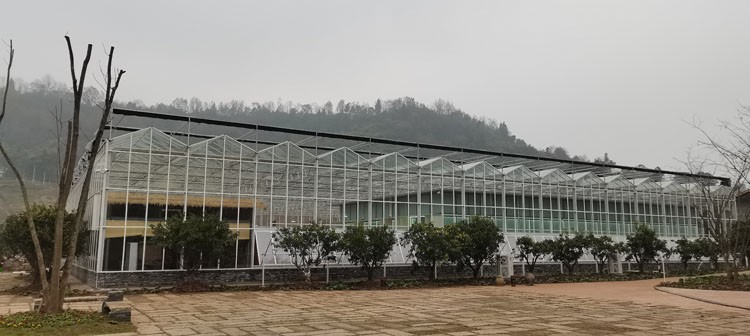 Rescue measures for severe water accumulation in vegetable greenhouses Rescue measures for severe water accumulation in vegetable greenhouses
