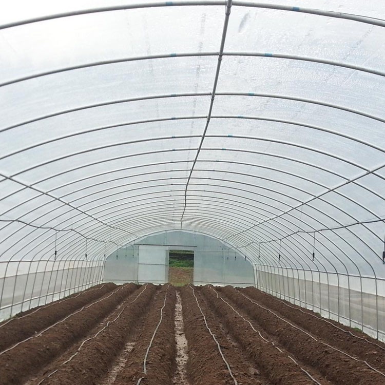 Single Greenhouse Single Greenhouse
