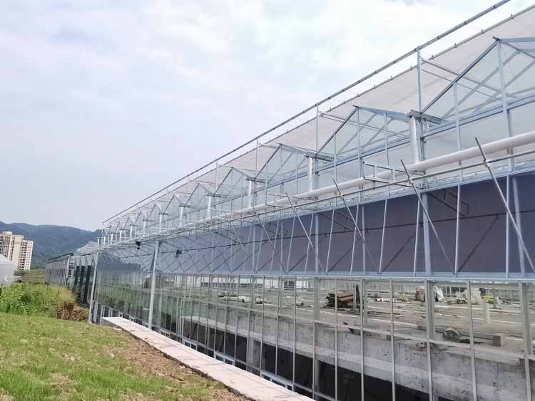 Glass Agricultural Greenhouse