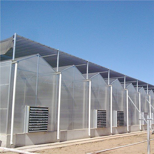 יריעות מחשב חממה 4 מ"מ